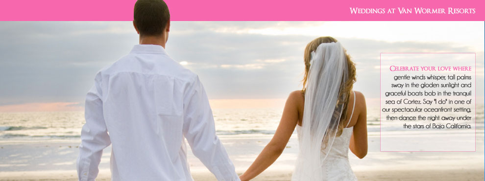 banner_03_1.jpg